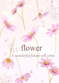 The gentle scent of cosmos19.