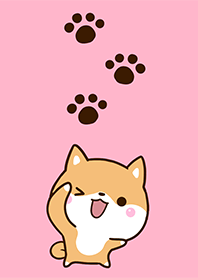 Chibi Shiba