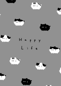 แมวฟูนุ่ม / gray black