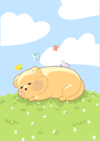 Golden Chill