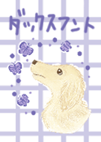 Dachshunts Theme/semimari