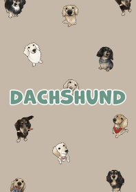dachshund6 / dark tan .jp