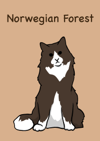 Norwegian Forest Cat