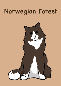 ノルウェージャンフォレスト猫