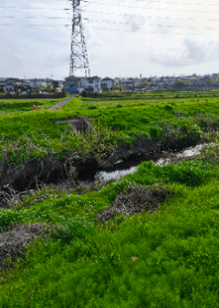 Riverside Greenery & Steel Tower