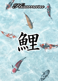 Hisamaru Japanese style carp