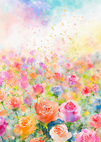 Beautiful rose flower(R3778)