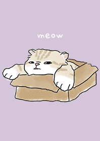 neko drawing4 - purple