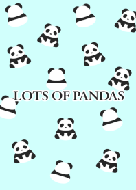 LOTS OF PANDAS-LIGHT BLUE