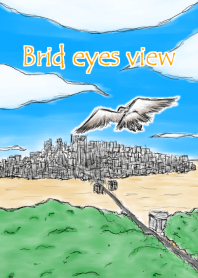 Bird eyes view