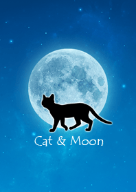 Cat & Moon. 2