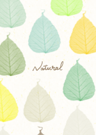 A leaf Brown Green8 from Japan