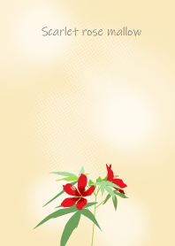 Scarlet rose mallow