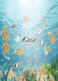 Kaia Coral & tropical fish