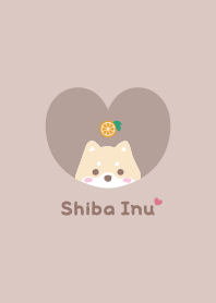 Shiba Inu2 Orange - brown