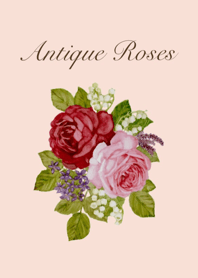 Antique Roses
