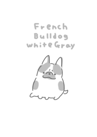 French Bulldog White Gray