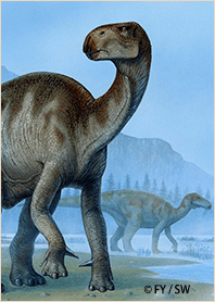 Dinosaur Ornithopoda