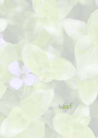 Leaf Theme 9