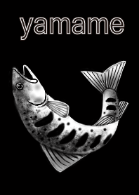 Land-locked trout4