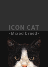 ICON CAT - Mixed breed cat - BLACK/03
