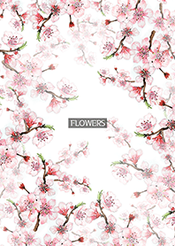 water color flowers_596