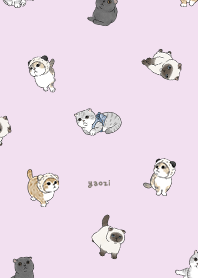 neko combo1 / periwinkle