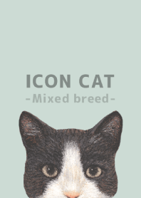ICON CAT -Mixed breed cat- PASTEL GR/03