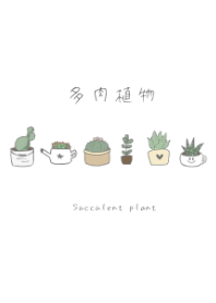 -Succulent plant-
