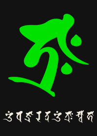 BONJI zodiac [traH] BLACK GREEN (0386