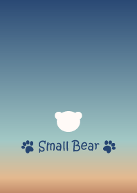 Small Bear *SKY8*
