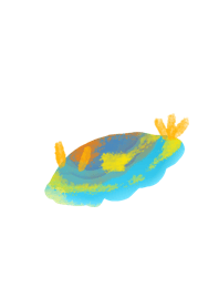 Sea slugs