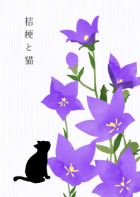【運気アップ】桔梗と猫