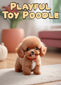 Playful Toy Poodle VOL.5