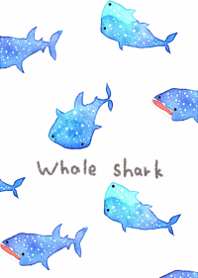 Whale sharks will heal you13