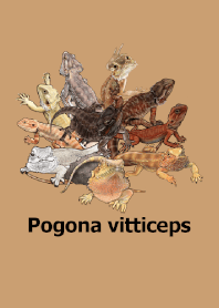 ENOGU フトアゴヒゲトカゲ 爬虫類 着せ替え