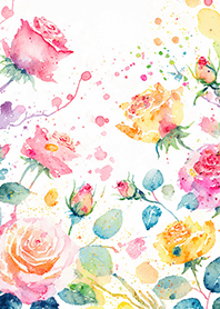 Beautiful rose flower(R4246)