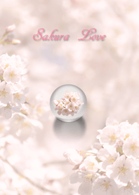 SAKURA LOVE