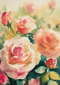 Beautiful rose flower(R4379)