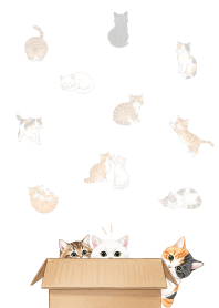 แมวกำลังเล่นซ่อนหา_สีม่วง1