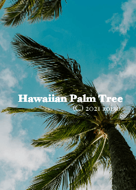 ハワイ コオリナビーチのヤシの木