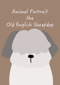 Animal Portrait - Old English Sheepdog