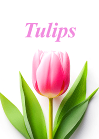 "Tulips vol.7" theme