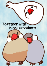 Together with birds anywhere