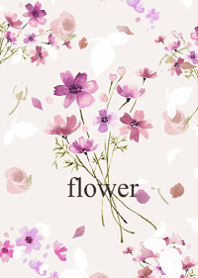 A field of cosmos swaying in the wind3.