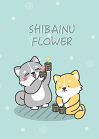 ShibaInu 9 - flower