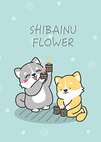 柴犬奴醬 9 - 園藝花生活