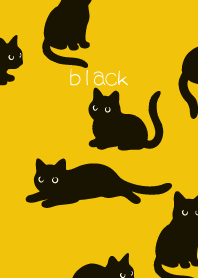 Round Black Cat3 on yellow