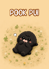 Pook pui