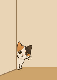 My Sweet Calico cat: Diary9